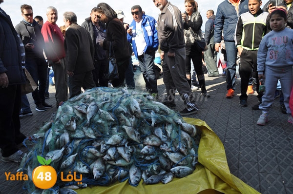 samak denisss (2).JPG